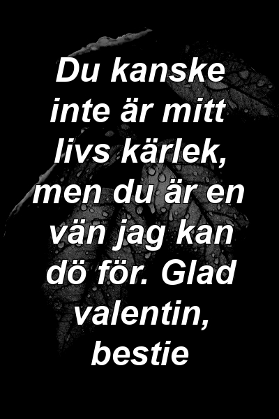 Du kanske inte är mitt livs kärlek, men du är en vän jag kan dö för. Glad valentin, bestie