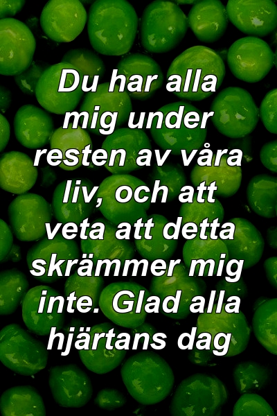 Du har alla mig under resten av våra liv, och att veta att detta skrämmer mig inte. Glad alla hjärtans dag