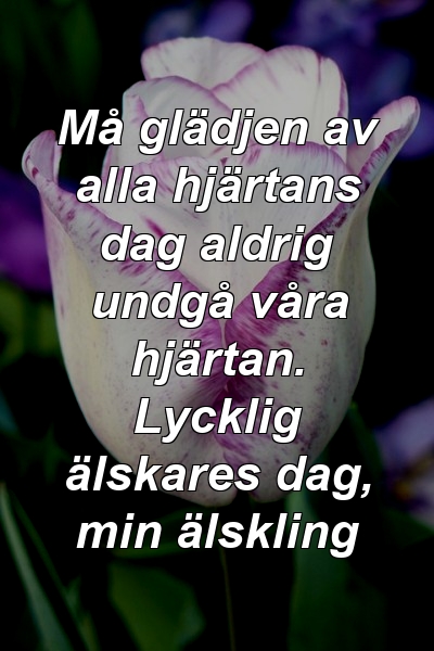 Må glädjen av alla hjärtans dag aldrig undgå våra hjärtan. Lycklig älskares dag, min älskling