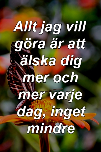 Allt jag vill göra är att älska dig mer och mer varje dag, inget mindre