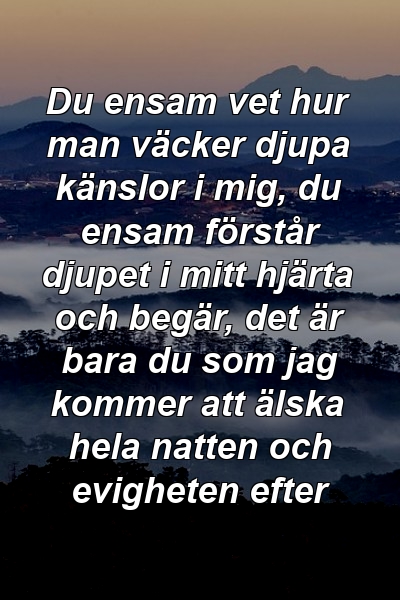 Du ensam vet hur man väcker djupa känslor i mig, du ensam förstår djupet i mitt hjärta och begär, det är bara du som jag kommer att älska hela natten och evigheten efter