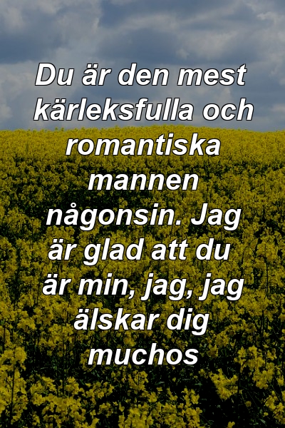 Du är den mest kärleksfulla och romantiska mannen någonsin. Jag är glad att du är min, jag, jag älskar dig muchos