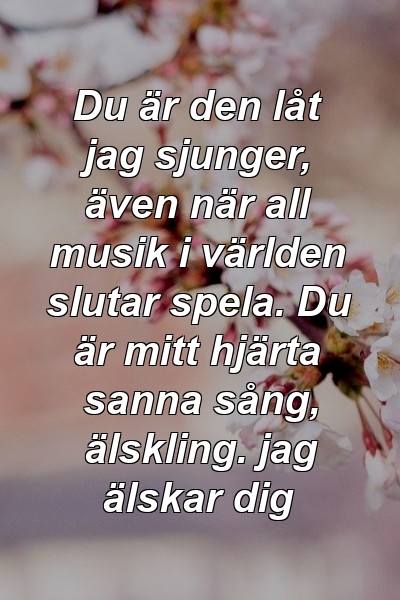 Du är den låt jag sjunger, även när all musik i världen slutar spela. Du är mitt hjärta sanna sång, älskling. jag älskar dig