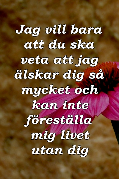 Jag vill bara att du ska veta att jag älskar dig så mycket och kan inte föreställa mig livet utan dig