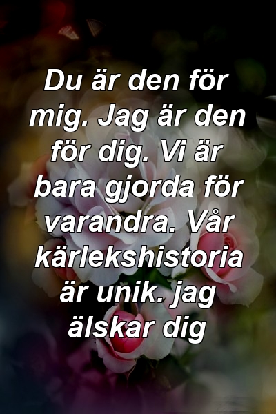 Du är den för mig. Jag är den för dig. Vi är bara gjorda för varandra. Vår kärlekshistoria är unik. jag älskar dig