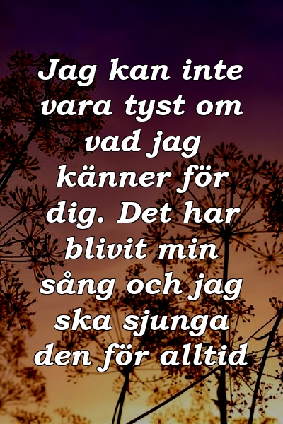 Jag kan inte vara tyst om vad jag känner för dig. Det har blivit min sång och jag ska sjunga den för alltid