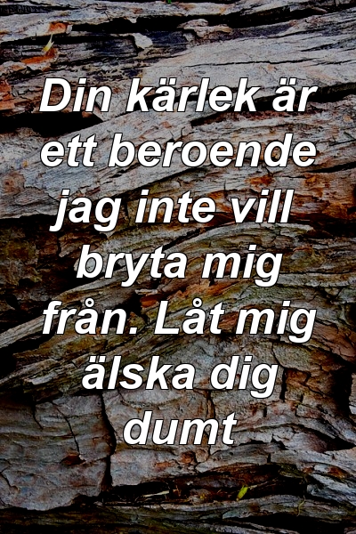 Din kärlek är ett beroende jag inte vill bryta mig från. Låt mig älska dig dumt