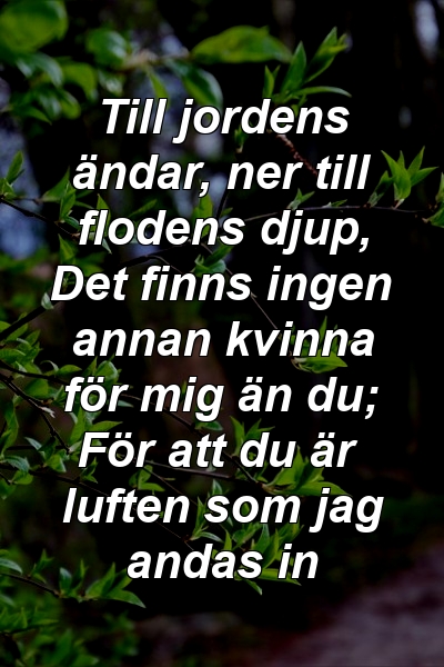 Till jordens ändar, ner till flodens djup, Det finns ingen annan kvinna för mig än du; För att du är luften som jag andas in