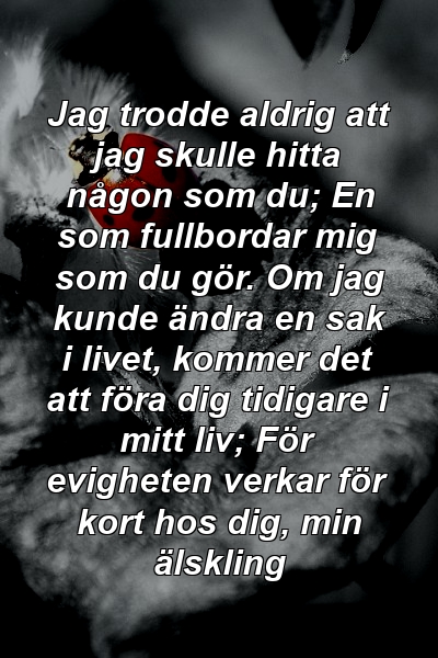 Jag trodde aldrig att jag skulle hitta någon som du; En som fullbordar mig som du gör. Om jag kunde ändra en sak i livet, kommer det att föra dig tidigare i mitt liv; För evigheten verkar för kort hos dig, min älskling