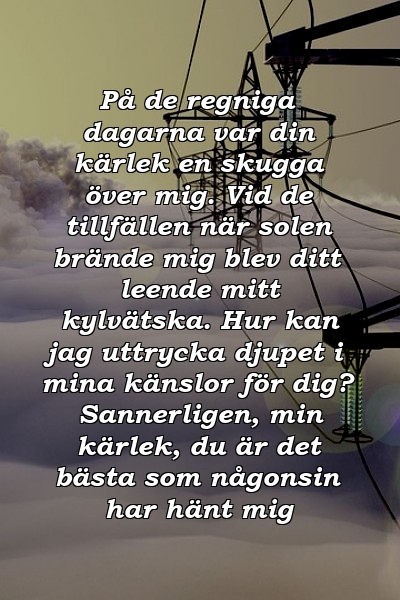 På de regniga dagarna var din kärlek en skugga över mig. Vid de tillfällen när solen brände mig blev ditt leende mitt kylvätska. Hur kan jag uttrycka djupet i mina känslor för dig? Sannerligen, min kärlek, du är det bästa som någonsin har hänt mig