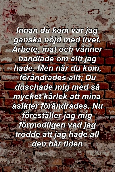 Innan du kom var jag ganska nöjd med livet. Arbete, mat och vänner handlade om allt jag hade. Men när du kom, förändrades allt; Du duschade mig med så mycket kärlek att mina åsikter förändrades. Nu föreställer jag mig förmodligen vad jag trodde att jag hade all den här tiden