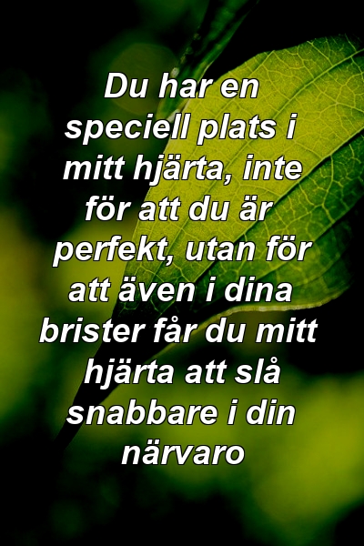 Du har en speciell plats i mitt hjärta, inte för att du är perfekt, utan för att även i dina brister får du mitt hjärta att slå snabbare i din närvaro