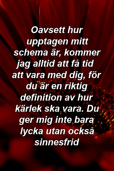 Oavsett hur upptagen mitt schema är, kommer jag alltid att få tid att vara med dig, för du är en riktig definition av hur kärlek ska vara. Du ger mig inte bara lycka utan också sinnesfrid