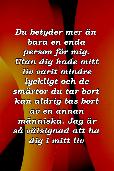 Du betyder mer än bara en enda person för mig. Utan dig hade mitt liv varit mindre lyckligt och de smärtor du tar bort kan aldrig tas bort av en annan människa. Jag är så välsignad att ha dig i mitt liv