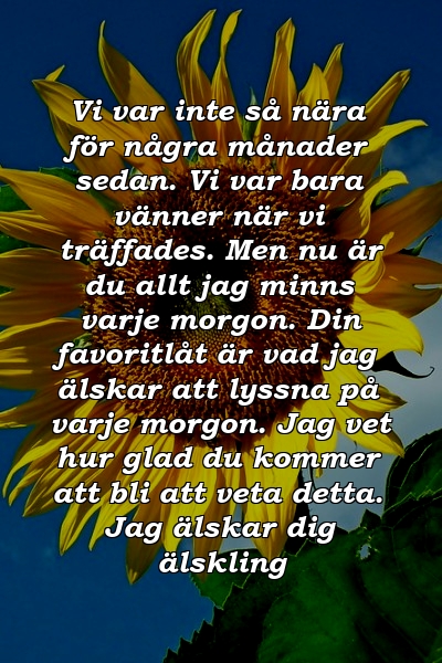 Vi var inte så nära för några månader sedan. Vi var bara vänner när vi träffades. Men nu är du allt jag minns varje morgon. Din favoritlåt är vad jag älskar att lyssna på varje morgon. Jag vet hur glad du kommer att bli att veta detta. Jag älskar dig älskling