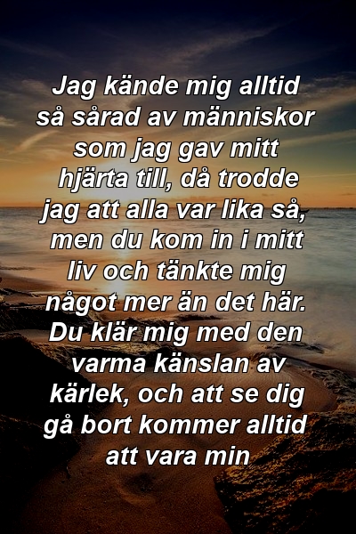 Jag kände mig alltid så sårad av människor som jag gav mitt hjärta till, då trodde jag att alla var lika så, men du kom in i mitt liv och tänkte mig något mer än det här. Du klär mig med den varma känslan av kärlek, och att se dig gå bort kommer alltid att vara min