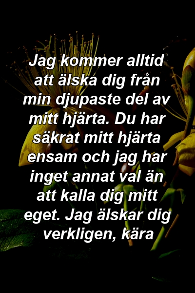 Jag kommer alltid att älska dig från min djupaste del av mitt hjärta. Du har säkrat mitt hjärta ensam och jag har inget annat val än att kalla dig mitt eget. Jag älskar dig verkligen, kära