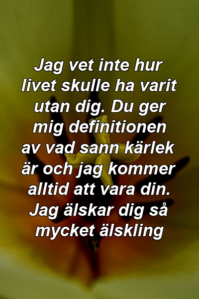 Jag vet inte hur livet skulle ha varit utan dig. Du ger mig definitionen av vad sann kärlek är och jag kommer alltid att vara din. Jag älskar dig så mycket älskling