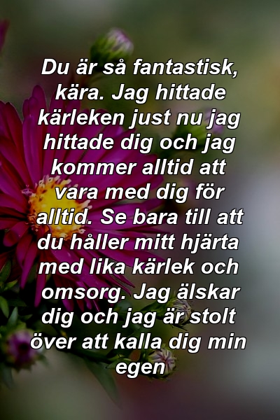 Du är så fantastisk, kära. Jag hittade kärleken just nu jag hittade dig och jag kommer alltid att vara med dig för alltid. Se bara till att du håller mitt hjärta med lika kärlek och omsorg. Jag älskar dig och jag är stolt över att kalla dig min egen