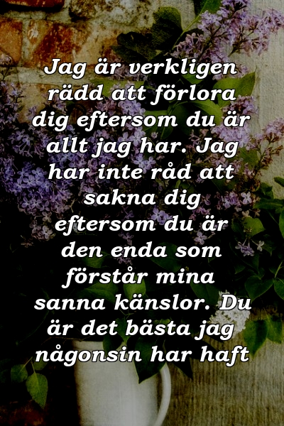 Jag är verkligen rädd att förlora dig eftersom du är allt jag har. Jag har inte råd att sakna dig eftersom du är den enda som förstår mina sanna känslor. Du är det bästa jag någonsin har haft