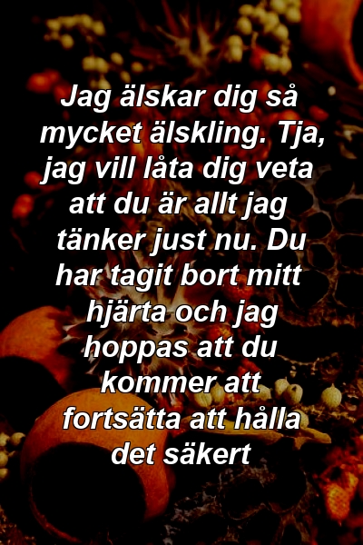 Jag älskar dig så mycket älskling. Tja, jag vill låta dig veta att du är allt jag tänker just nu. Du har tagit bort mitt hjärta och jag hoppas att du kommer att fortsätta att hålla det säkert