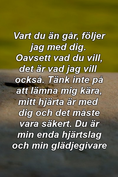 Vart du än går, följer jag med dig. Oavsett vad du vill, det är vad jag vill också. Tänk inte på att lämna mig kära, mitt hjärta är med dig och det måste vara säkert. Du är min enda hjärtslag och min glädjegivare