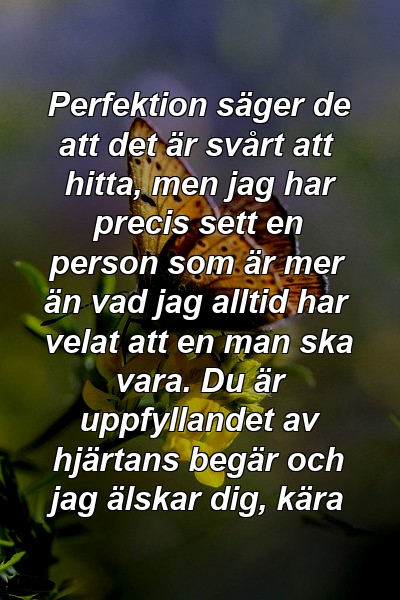 Perfektion säger de att det är svårt att hitta, men jag har precis sett en person som är mer än vad jag alltid har velat att en man ska vara. Du är uppfyllandet av hjärtans begär och jag älskar dig, kära