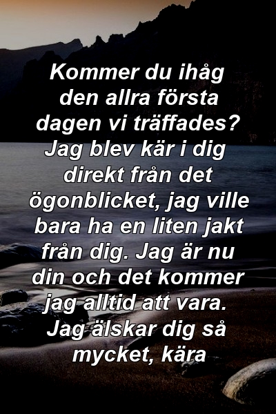 Kommer du ihåg den allra första dagen vi träffades? Jag blev kär i dig direkt från det ögonblicket, jag ville bara ha en liten jakt från dig. Jag är nu din och det kommer jag alltid att vara. Jag älskar dig så mycket, kära