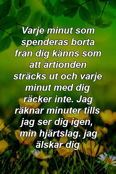 Varje minut som spenderas borta från dig känns som att årtionden sträcks ut och varje minut med dig räcker inte. Jag räknar minuter tills jag ser dig igen, min hjärtslag. jag älskar dig