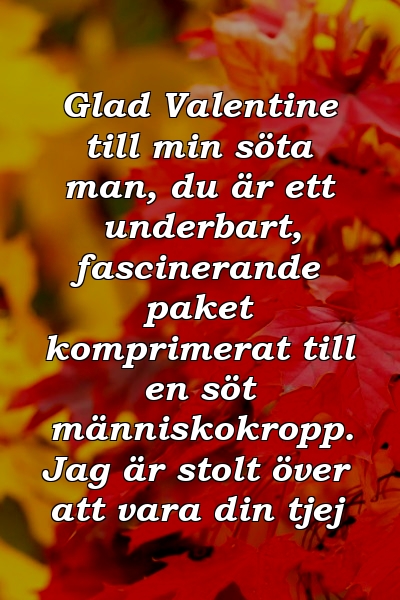 Glad Valentine till min söta man, du är ett underbart, fascinerande paket komprimerat till en söt människokropp. Jag är stolt över att vara din tjej