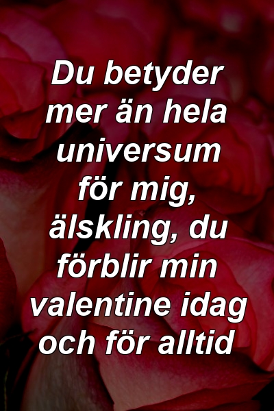 Du betyder mer än hela universum för mig, älskling, du förblir min valentine idag och för alltid