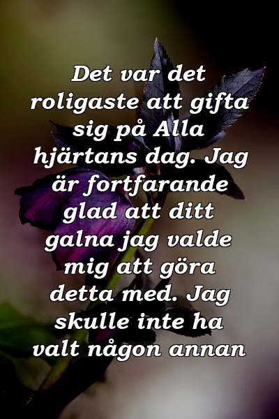 Det var det roligaste att gifta sig på Alla hjärtans dag. Jag är fortfarande glad att ditt galna jag valde mig att göra detta med. Jag skulle inte ha valt någon annan