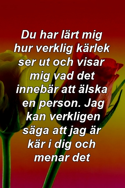 Du har lärt mig hur verklig kärlek ser ut och visar mig vad det innebär att älska en person. Jag kan verkligen säga att jag är kär i dig och menar det