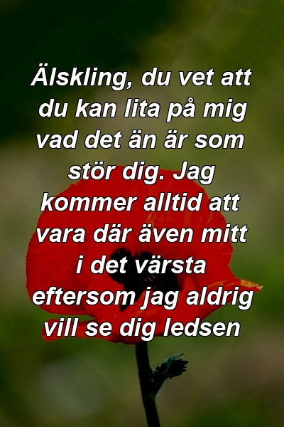 Älskling, du vet att du kan lita på mig vad det än är som stör dig. Jag kommer alltid att vara där även mitt i det värsta eftersom jag aldrig vill se dig ledsen