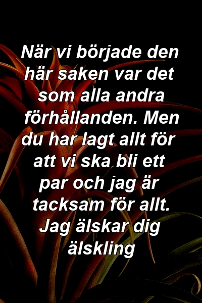 När vi började den här saken var det som alla andra förhållanden. Men du har lagt allt för att vi ska bli ett par och jag är tacksam för allt. Jag älskar dig älskling