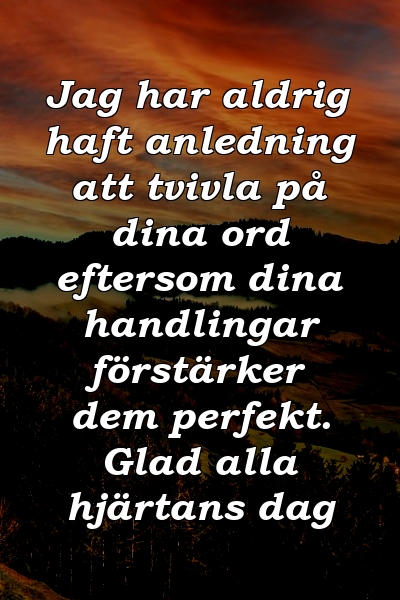 Jag har aldrig haft anledning att tvivla på dina ord eftersom dina handlingar förstärker dem perfekt. Glad alla hjärtans dag