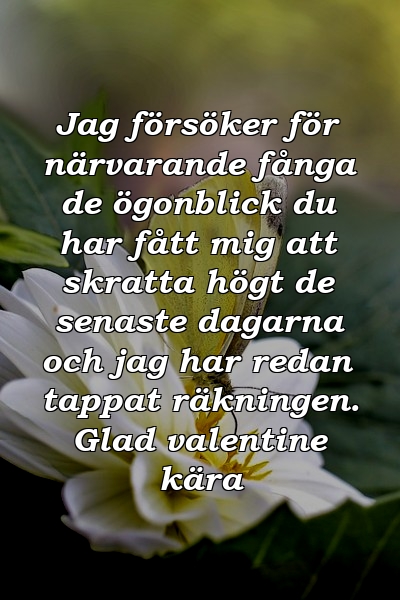 Jag försöker för närvarande fånga de ögonblick du har fått mig att skratta högt de senaste dagarna och jag har redan tappat räkningen. Glad valentine kära