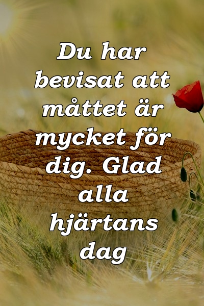 Du har bevisat att måttet är mycket för dig. Glad alla hjärtans dag