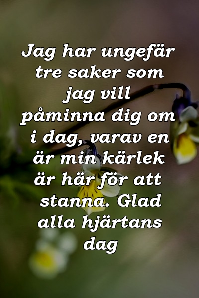 Jag har ungefär tre saker som jag vill påminna dig om i dag, varav en är min kärlek är här för att stanna. Glad alla hjärtans dag