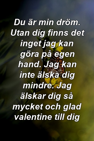 Du är min dröm. Utan dig finns det inget jag kan göra på egen hand. Jag kan inte älska dig mindre. Jag älskar dig så mycket och glad valentine till dig