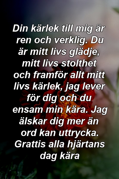 Din kärlek till mig är ren och verklig. Du är mitt livs glädje, mitt livs stolthet och framför allt mitt livs kärlek, jag lever för dig och du ensam min kära. Jag älskar dig mer än ord kan uttrycka. Grattis alla hjärtans dag kära