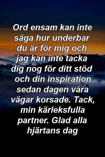 Ord ensam kan inte säga hur underbar du är för mig och jag kan inte tacka dig nog för ditt stöd och din inspiration sedan dagen våra vägar korsade. Tack, min kärleksfulla partner. Glad alla hjärtans dag