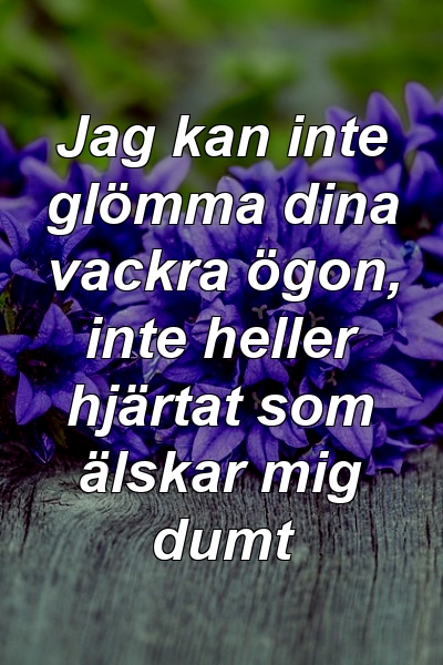 Jag kan inte glömma dina vackra ögon, inte heller hjärtat som älskar mig dumt