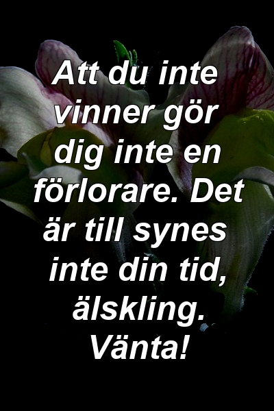 Att du inte vinner gör dig inte en förlorare. Det är till synes inte din tid, älskling. Vänta!