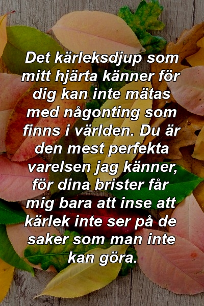 Det kärleksdjup som mitt hjärta känner för dig kan inte mätas med någonting som finns i världen. Du är den mest perfekta varelsen jag känner, för dina brister får mig bara att inse att kärlek inte ser på de saker som man inte kan göra.