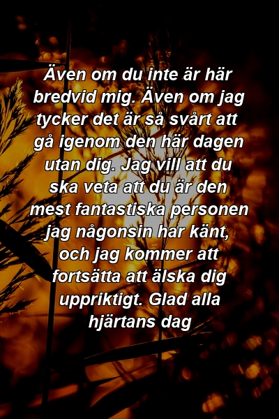 Även om du inte är här bredvid mig. Även om jag tycker det är så svårt att gå igenom den här dagen utan dig. Jag vill att du ska veta att du är den mest fantastiska personen jag någonsin har känt, och jag kommer att fortsätta att älska dig uppriktigt. Glad alla hjärtans dag