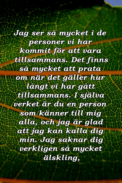 Jag ser så mycket i de personer vi har kommit för att vara tillsammans. Det finns så mycket att prata om när det gäller hur långt vi har gått tillsammans. I själva verket är du en person som känner till mig alla, och jag är glad att jag kan kalla dig min. Jag saknar dig verkligen så mycket älskling,