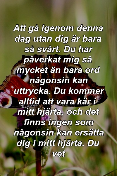 Att gå igenom denna dag utan dig är bara så svårt. Du har påverkat mig så mycket än bara ord någonsin kan uttrycka. Du kommer alltid att vara kär i mitt hjärta, och det finns ingen som någonsin kan ersätta dig i mitt hjärta. Du vet