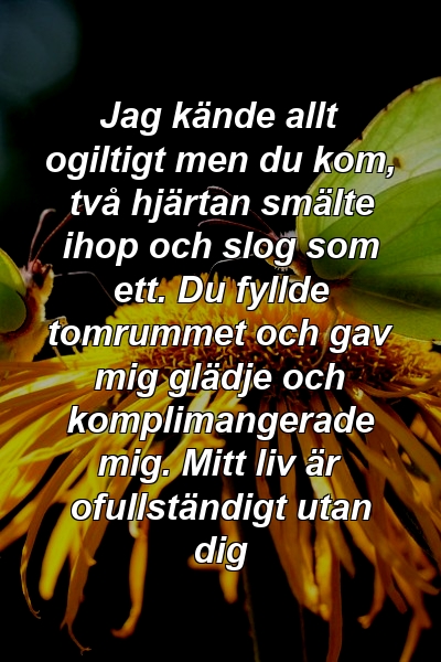 Jag kände allt ogiltigt men du kom, två hjärtan smälte ihop och slog som ett. Du fyllde tomrummet och gav mig glädje och komplimangerade mig. Mitt liv är ofullständigt utan dig