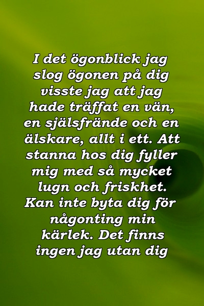 I det ögonblick jag slog ögonen på dig visste jag att jag hade träffat en vän, en själsfrände och en älskare, allt i ett. Att stanna hos dig fyller mig med så mycket lugn och friskhet. Kan inte byta dig för någonting min kärlek. Det finns ingen jag utan dig